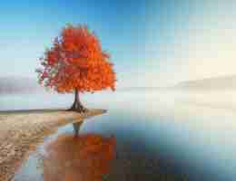 关‍键​词‍制​作‍软﻿件﻿有‍哪‍些‍